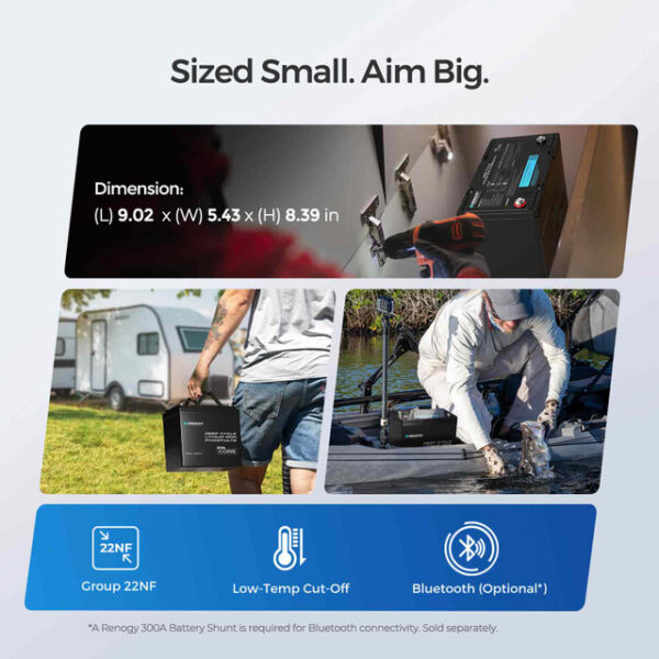 small mini mini renogy 100ah deep cycle lifepo4 battery