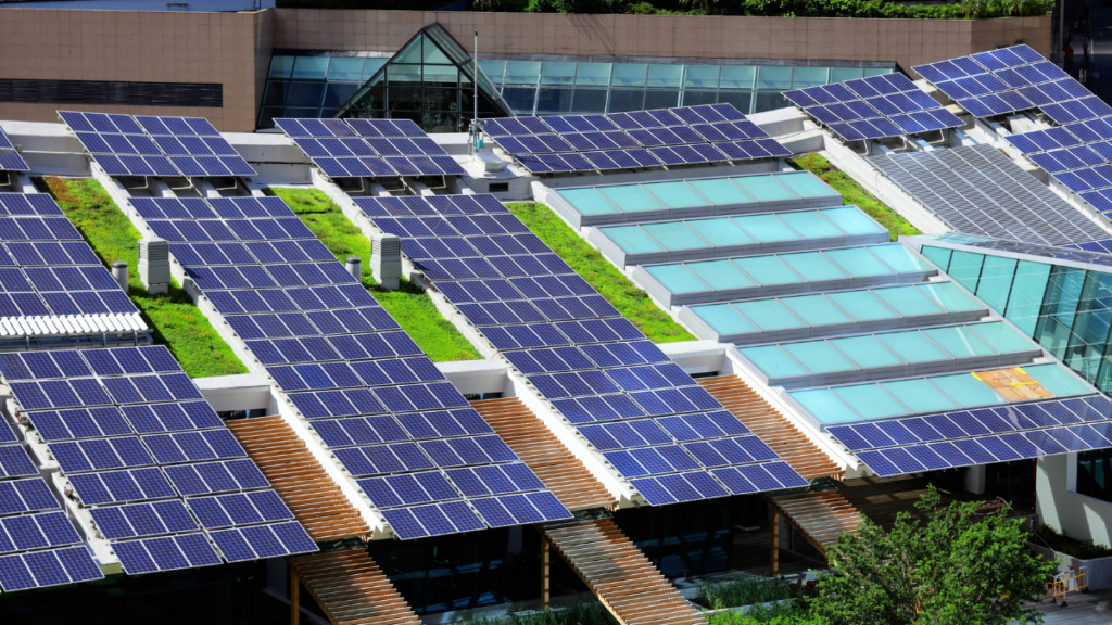 SJVN Invites Bids For 4.79 MW Rooftop Solar Projects On Government ...